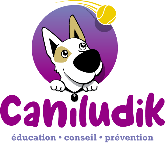 logo Caniludik